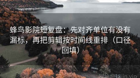 蜂鸟影院短复盘：先对齐单位有没有漏标，再把剪辑按时间线重排（口径回填）