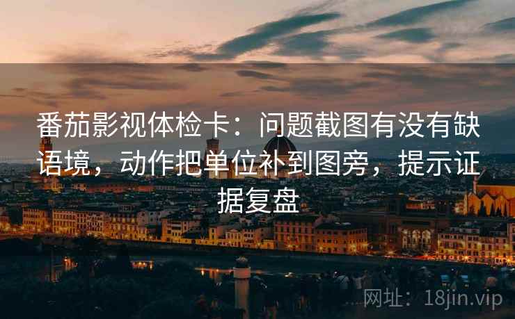 番茄影视体检卡：问题截图有没有缺语境，动作把单位补到图旁，提示证据复盘